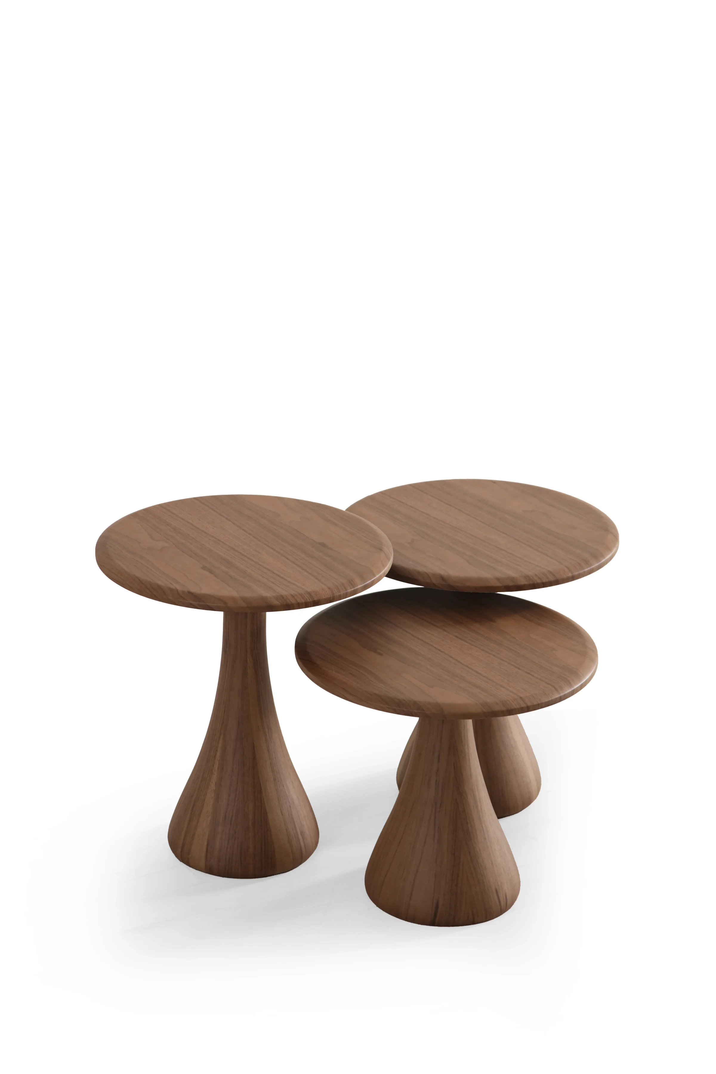 Silvia Холна Mаса